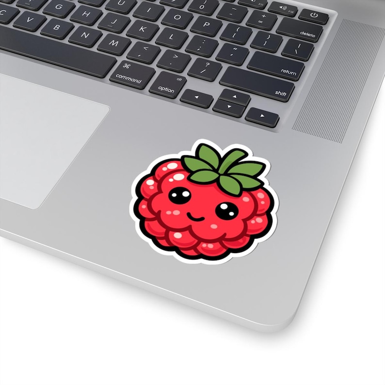 Raspberry Sticker - Etsy