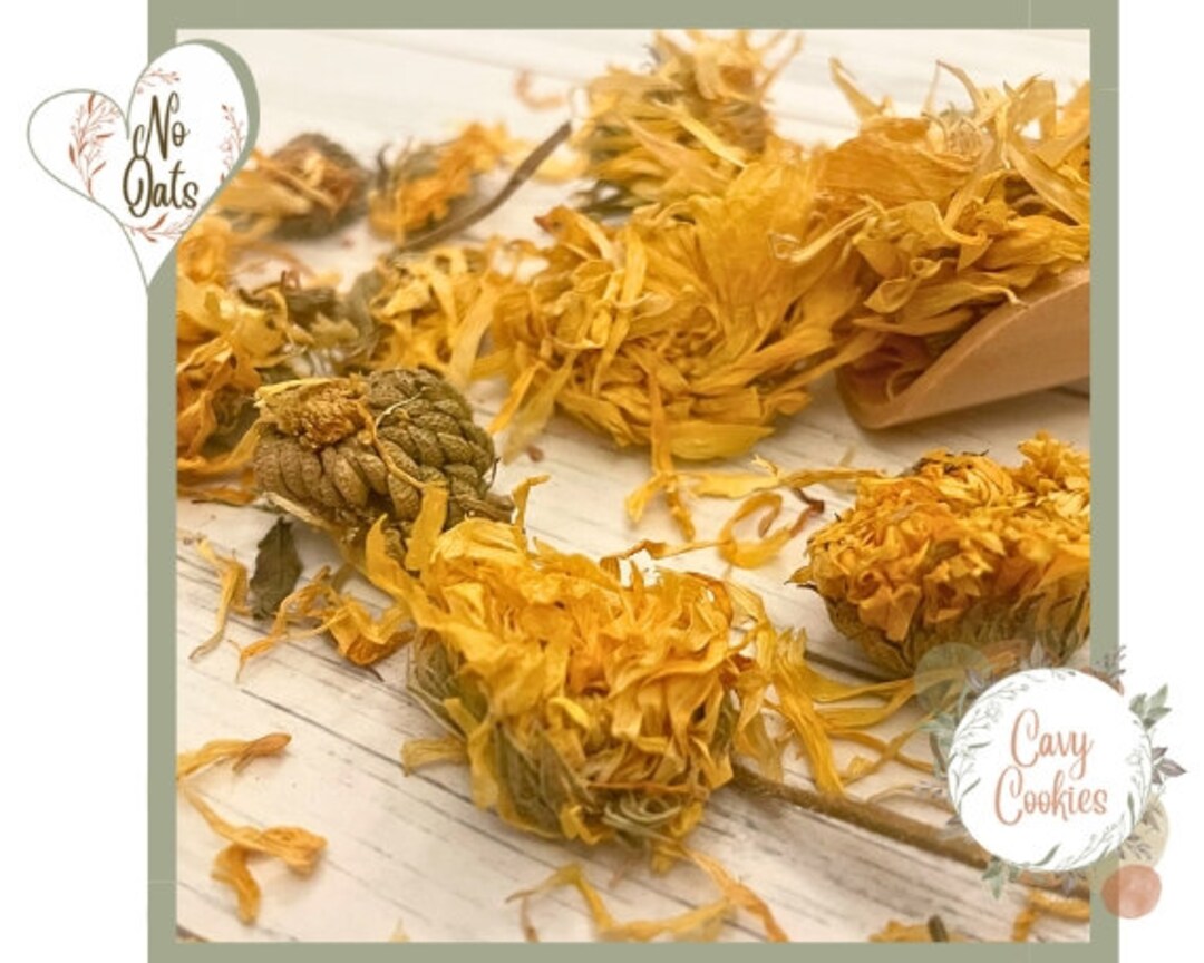 Picture of Guinea pig forage & treats. Oat Free Marigold Hay Topper, healthy tasty ...