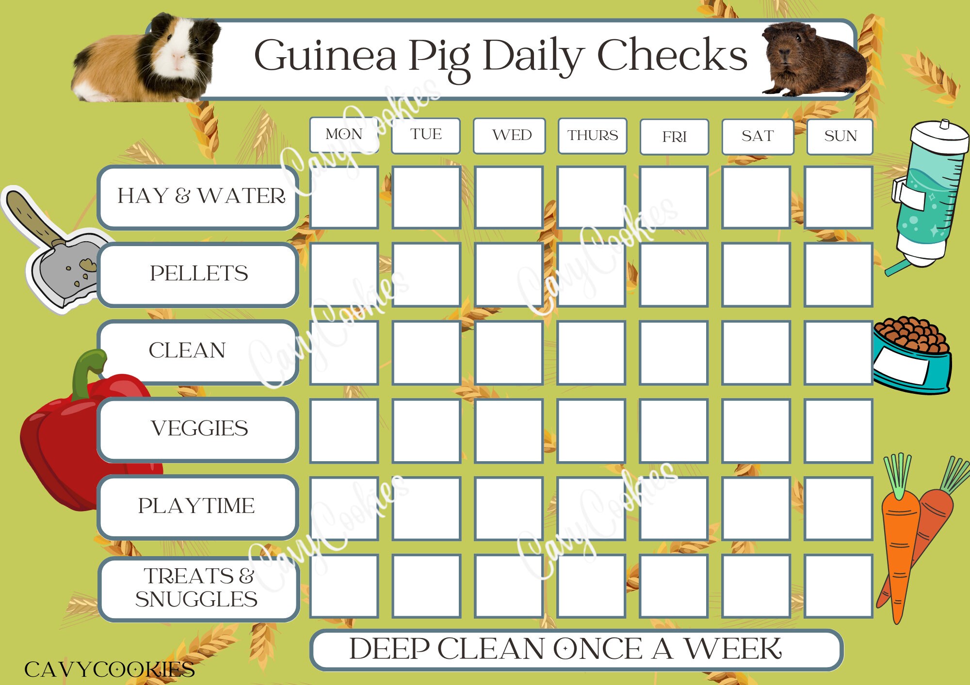 Guinea pig hotsell care guide