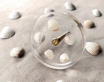 Marine drawer pulls with real sea shell, Hamptons style ocean handles for beach home, Crystal knobs for a vacation gift