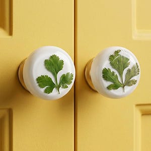 Puede incluir: Dos pomos de armario blancos con un diseño de hoja verde. Los pomos son redondos con una base dorada y están montados en una puerta de armario amarilla. El diseño de la hoja está centrado en el pomo blanco.