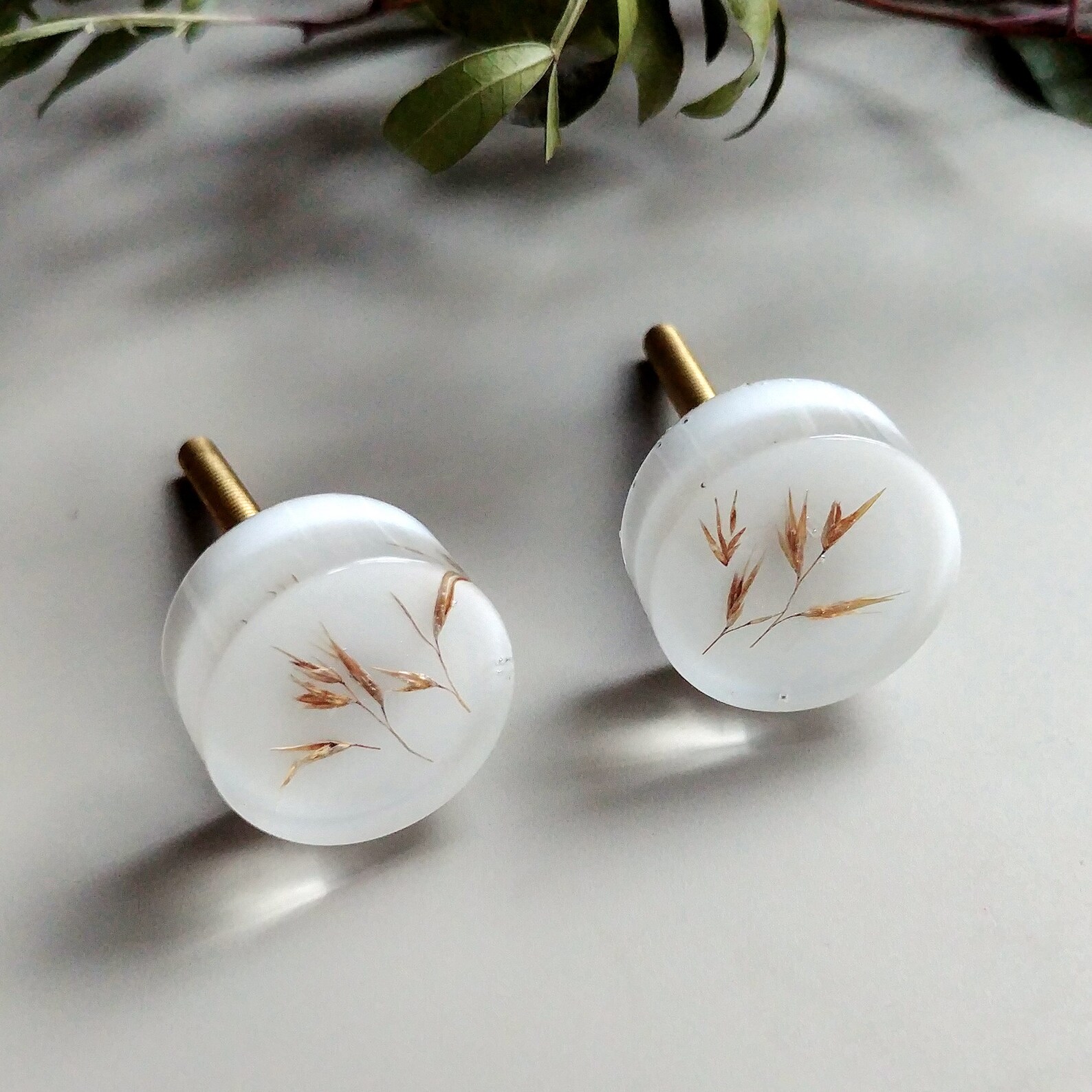 24mm Small White Knobs With Dried Grass Boho Round Handles Etsy