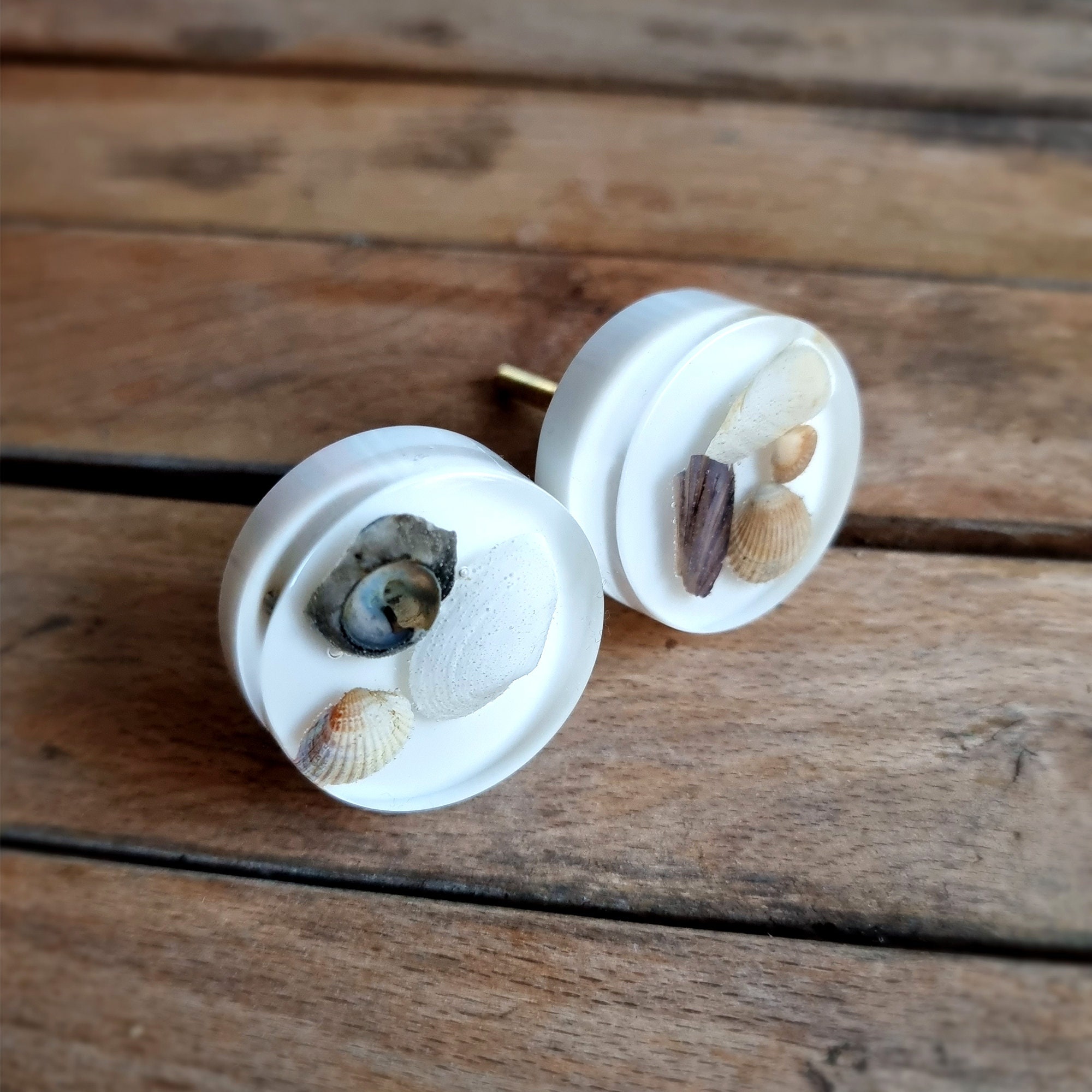 Home Improvement furniture knob with sea shells for ocean