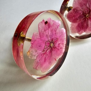 Op de afbeelding: Twee ronde, transparante harsknoppen met een ingeperste roze bloem. De knoppen hebben een gouden schroef aan de achterkant.