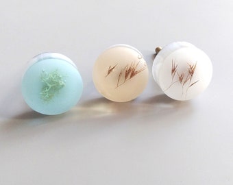 Small white furniture knobs with dried plants, Round handles for cozy interiors, Handmade drawer pull for elegant  kitchen cabinet