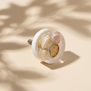 Puede incluir: Un pomo de armario blanco con un vástago plateado, que presenta varias conchas marinas encapsuladas en resina transparente. Las conchas son de varios tonos de beige y rosa, creando un tema costero. El pomo es redondo y tiene un acabado liso y brillante.
