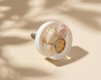 Muschel Möbelknauf: Baltic Sea Shell, Möbelbeschläge