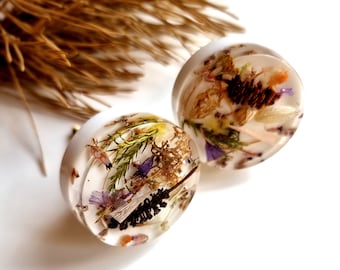 Botanical Resin Drawer Pull: Real Pinecone & Forest Plants, Brass Accent