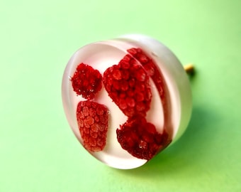 Raspberry knob for kids room, Holiday home drawer pull with real fruit, Furniture handle with food for pantry