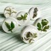 retro herbal white knob with rosemary lavender, botanical kitchen drawer pulls with herbs, vintage herbarium handle for boho pantry cupboard 