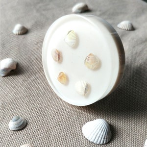 Op de afbeelding: Een witte ronde zeepbak met zes kleine schelpen die in het oppervlak zijn ingebed. De schelpen zijn lichtbeige.