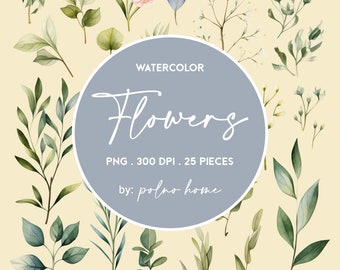 Botanical elements in PNG, Watercolor graphic for floral digital design, Clipart of meadow plants and herbs