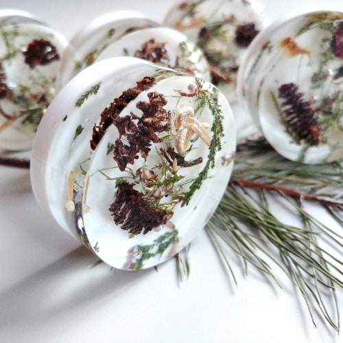 Forest Style Knobs With Cones and Heather Flowers Autumn Etsy
