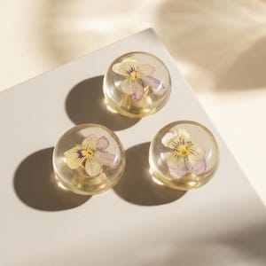 ドライパンジーの花のつまみ：琥珀色の樹脂、真鍮のアクセント - ボヘミアン風インテリア