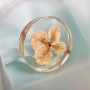 Peut inclure: Un presse-papier en résine transparente avec une fleur séchée de couleur brun clair pressée à l'intérieur. La fleur a une forme délicate à cinq pétales.
