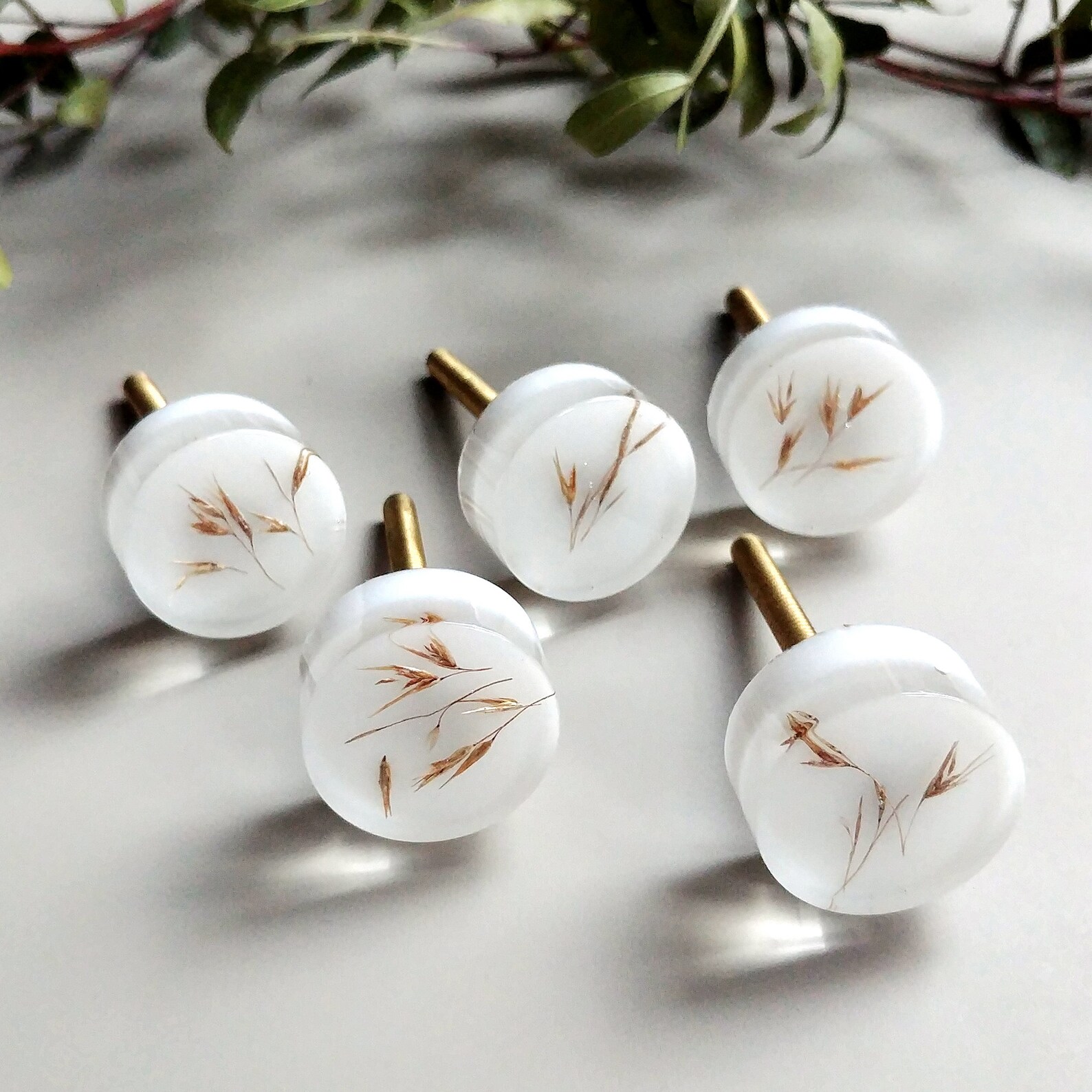 24mm Small White Knobs With Dried Grass Boho Round Handles Etsy