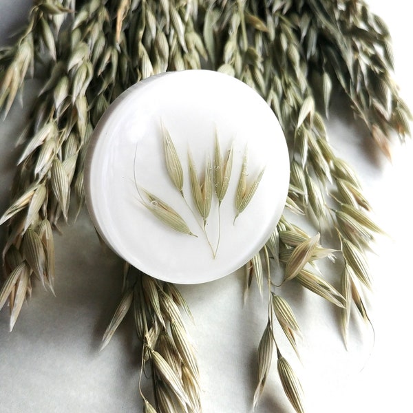 Big round spring knobs with green avene, White drawer pulls with dried ears of oat, Botanical handles for furniture