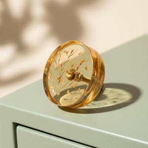 Könnte beinhalten: Ein klarer, runder Schrankknopf mit einem goldfarbenen Metallsockel. Der Knopf ist mit getrockneten, goldfarbenen Blumen und Flocken gefüllt. Der Knopf liegt auf einer hellgrünen Oberfläche.