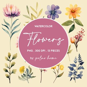 Fichier numérique de fleurs aquarelles en PNG, éléments floraux de style herbier, pétales et feuilles pastel