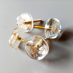 four round crystal knobs with plant inside