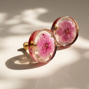 Könnte beinhalten: Zwei transparente Schrankknöpfe mit rosa Blüten, die in Harz eingeschlossen sind. Die Knöpfe haben einen goldfarbenen Sockel und einen rosafarbenen Rand. Die Blüten sind leuchtend rosa.