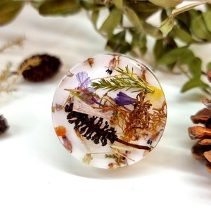 There is a knob placed on a white table. Every knob has white back and transparent front. In the clear front thereis a mix of forrest plants like: cones, heather, pine