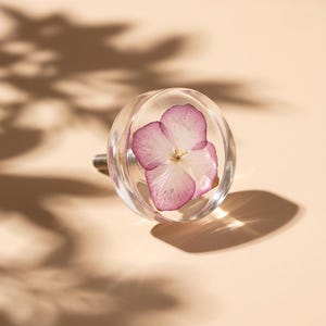 Könnte beinhalten: Ein klarer, runder Schrankknopf mit einer gepressten rosa-weißen Blume im Inneren. Der Knopf hat eine silberne Metallschraube und ist vor einem neutralen Hintergrund mit Blätterschatten platziert.
