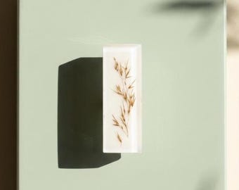 Drawer Knob with dried grass: Crystal Resin Cabinet Pull with Brass, Rectangular handles