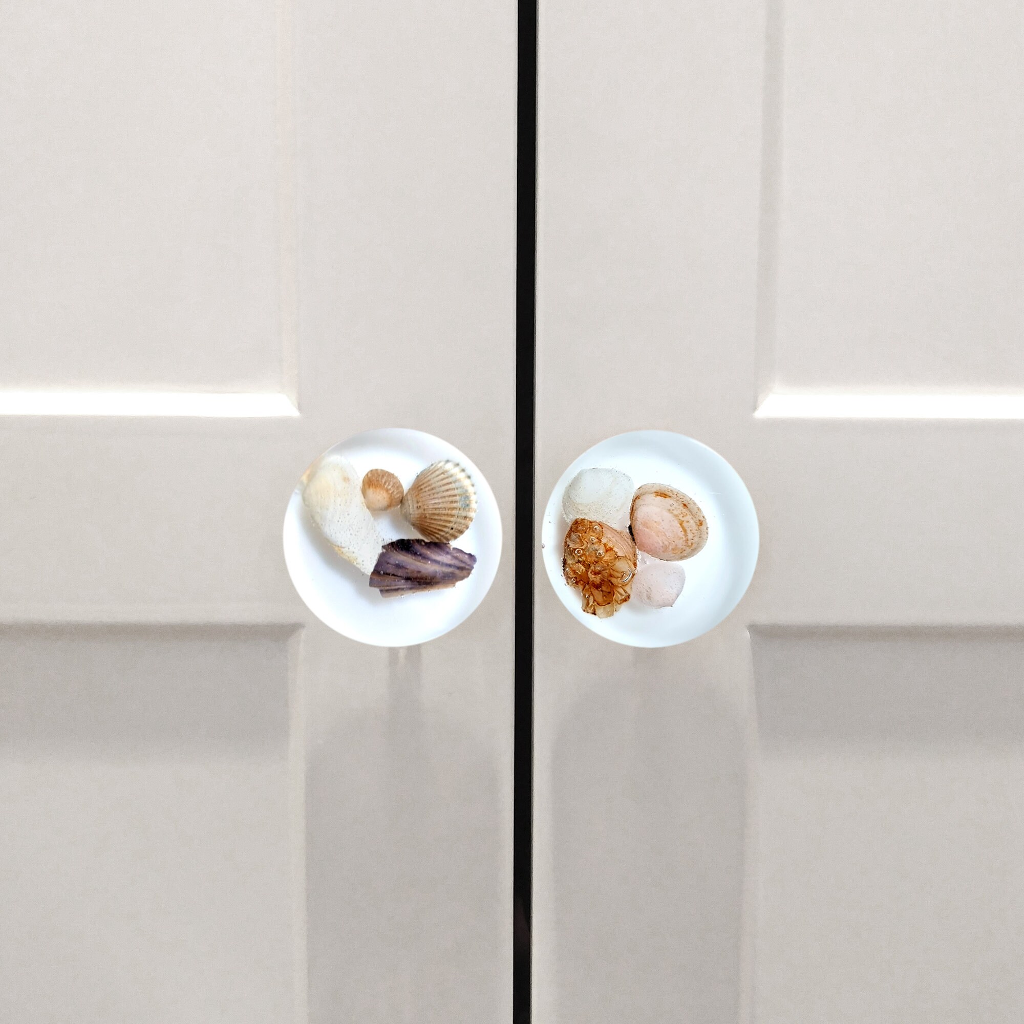 Home Improvement furniture knob with sea shells for ocean