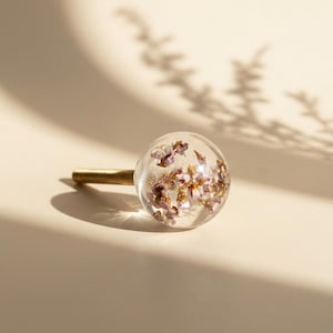 Può includere: Un pomello per armadio rotondo e trasparente con fiori viola secchi all'interno. Il pomello ha uno stelo filettato color ottone. Lo sfondo è beige neutro con l'ombra di una pianta.
