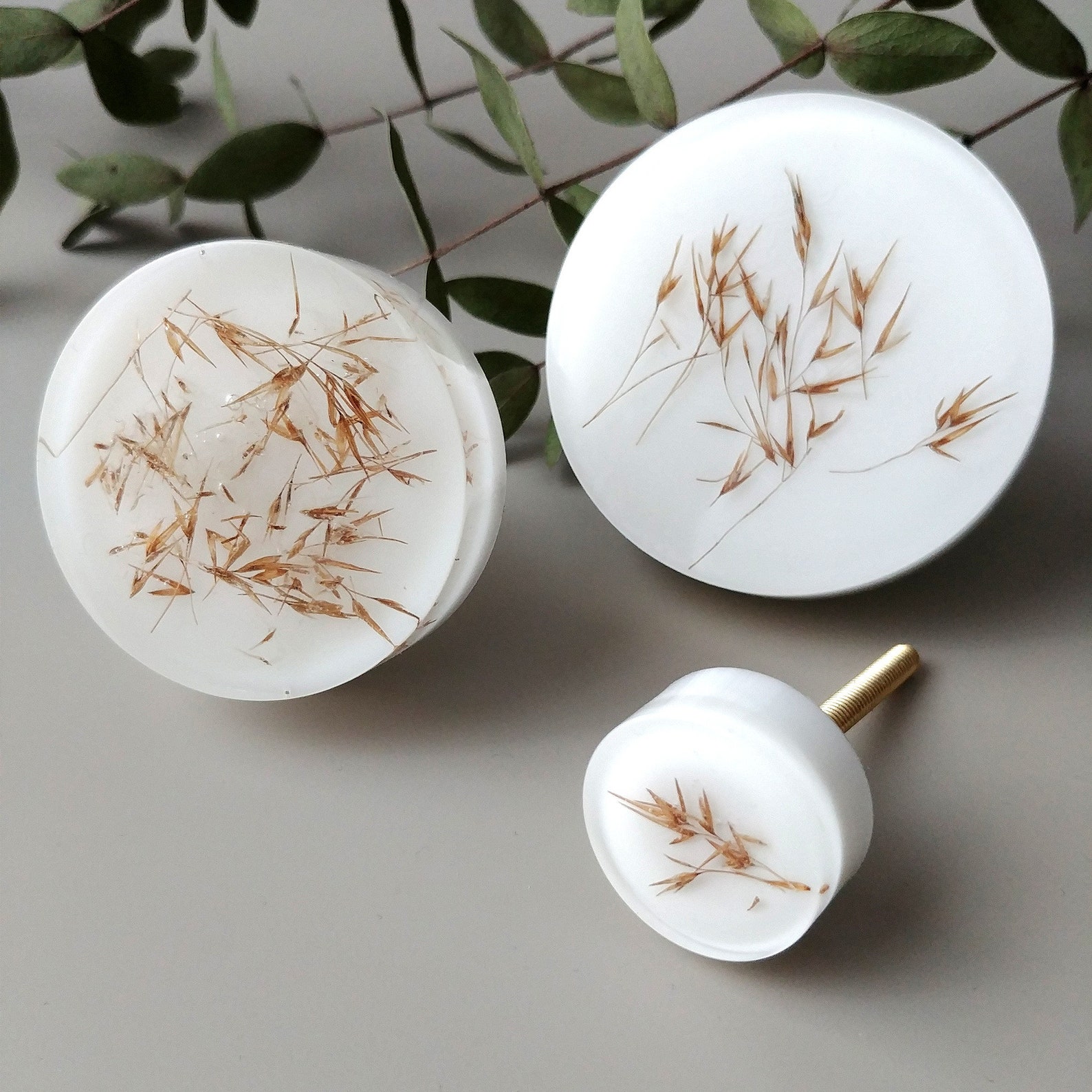 24mm Small White Knobs With Dried Grass Boho Round Handles Etsy