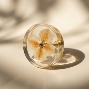 Könnte beinhalten: Ein klarer Harz-Schrankknopf mit einer getrockneten, hellbraunen Blume im Inneren. Der Knopf hat einen goldfarbenen Sockel und ist vor einem neutralen Hintergrund platziert. Die feinen Details der Blume sind sichtbar.