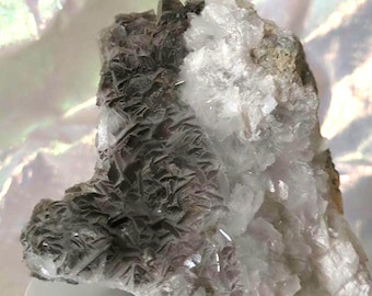 Black desert rose selenite on sepheralite specimen
