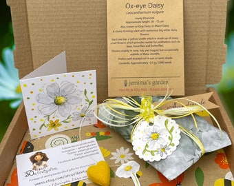 May include: A small kraft paper box filled with a wrapped package of Ox-eye Daisy wildflower seeds. The package is tied with a yellow ribbon and a tag that says "jemima's garden". The box is decorated with a floral pattern and includes a small card with a hand-drawn illustration of a daisy.