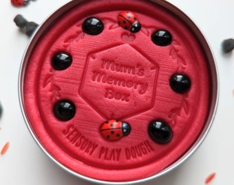 Plastilina sensorial con aroma a mariquita / Sello de madera para plastilina Ladybird Garden