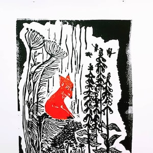 Red Fox in Sun (2 cards)