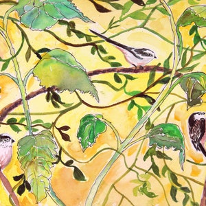 Mésanges à longue queue, art des oiseaux. Paquet de 2 cartes.