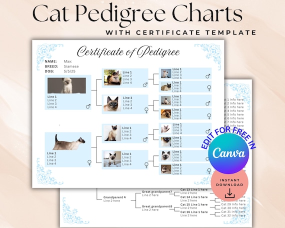 Cat Breeding Chart: Ultimate Guide to Predicting Kitten Traits