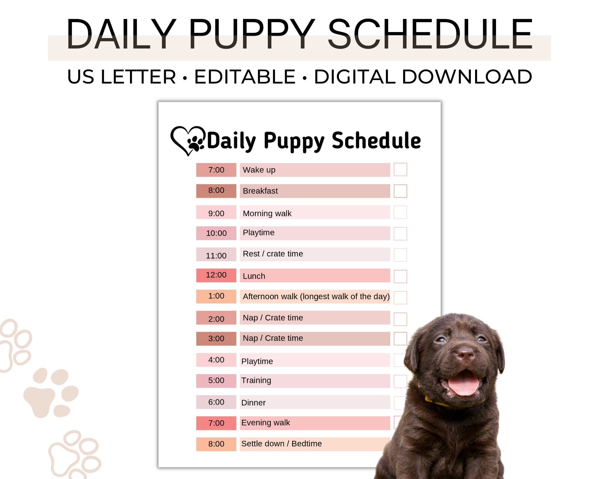 Complete Puppy Training Schedule by Age! — The Puppy Academy