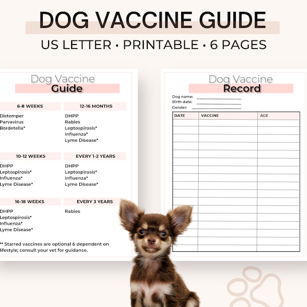 Editable Puppy vaccination record, Puppy Vaccine Guide, Puppy Vaccine Tracker, Dog shot record  - Digital Download D001