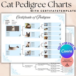 Bearbeitbare Katzen-Stammbaum-Diagramme, Kätzchen-Stammbaum-Zertifikat, Adoptionsformulare für Katzenzüchter, Kitty-Vorlagen, Canva-Vorlage 5 Generation Pedigree