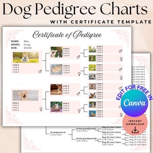 Bearbeitbare Hunde-Stammbaum-Charts, Welpen-Zertifikat für Stammbaum, Hundezüchter-Adoptionsformulare, Welpenvorlagen, Canva-Vorlage 5 Generation Pedigree