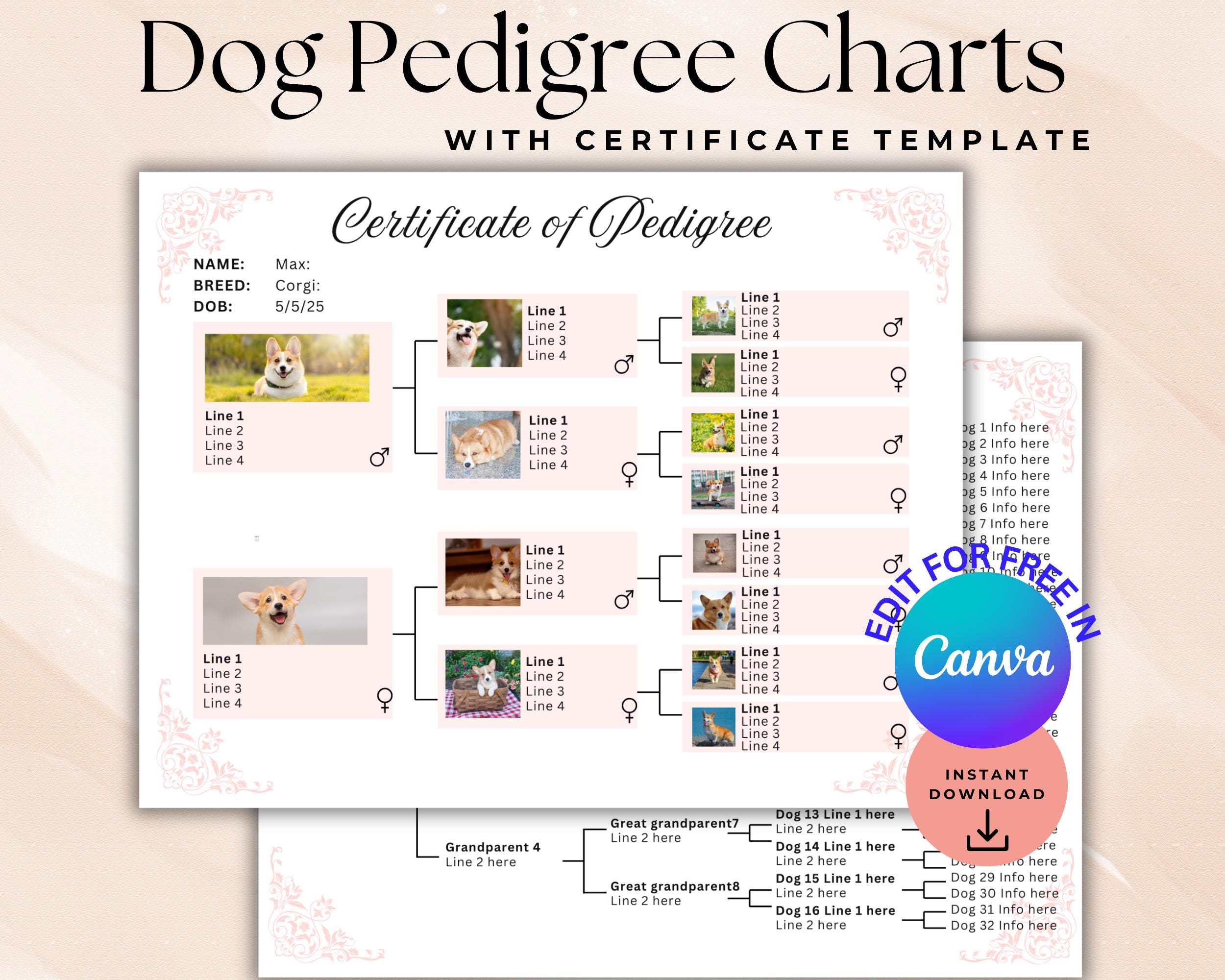 Editable Dog Pedigree Charts, Puppy Certificate of Pedigree, Dog Breeder Adoption Forms,Puppy Templates,Canva template 5 Generation Pedigree