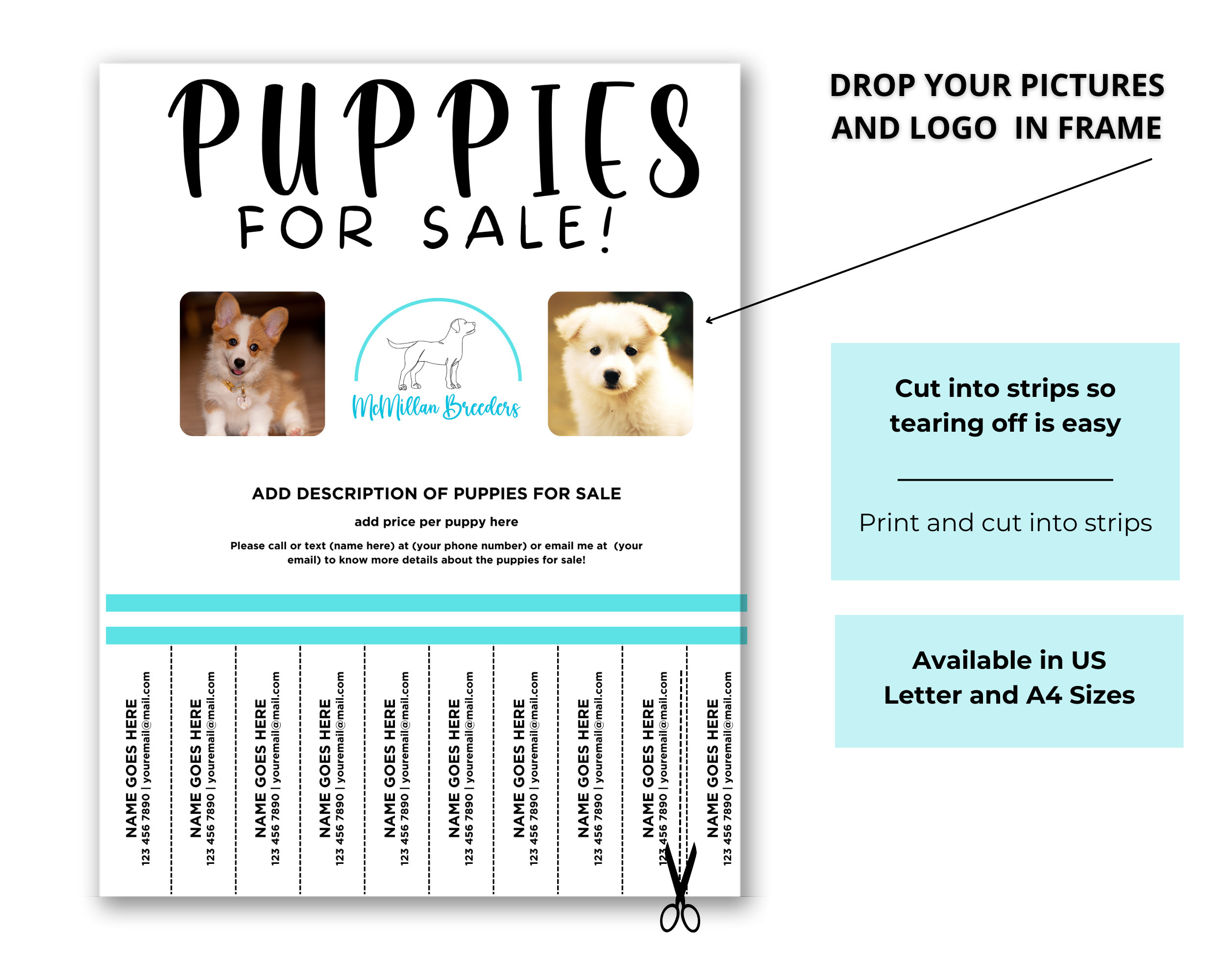 Image 12 for Puppy For Sale Flyer Templates