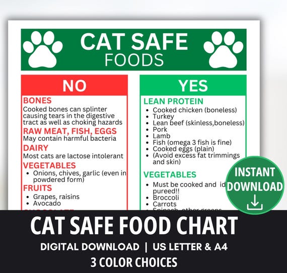human food for cats list
