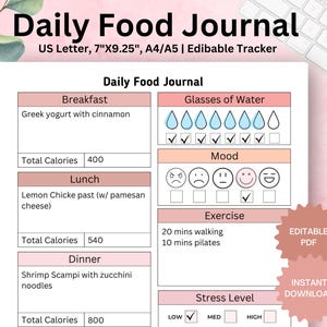 Editable Daily Food Journal, Printable Daily Food Journal, Daily Food Planner, Food Diary,Meal Journal,Meal Tracker,Calorie Tracker Log H001