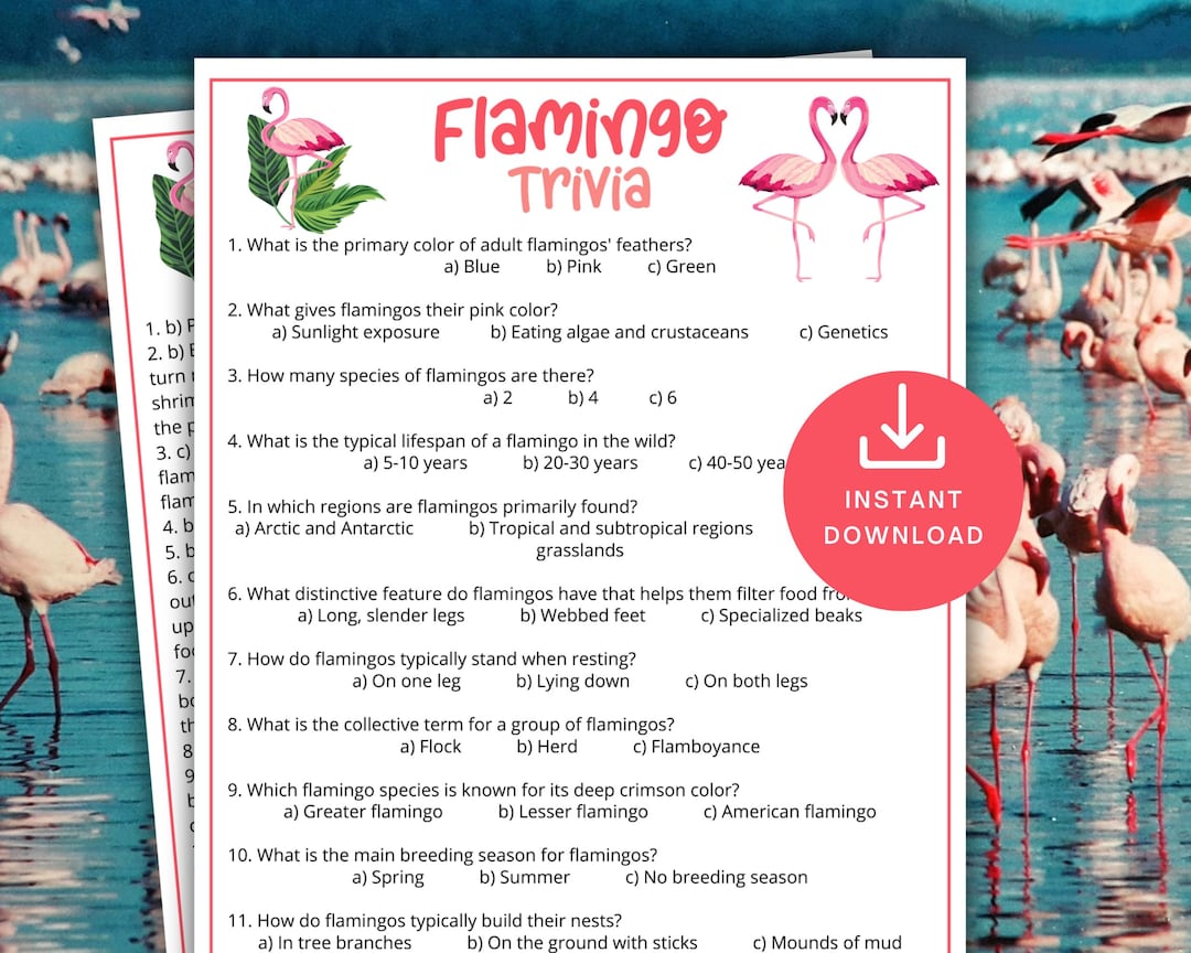 Flamingo Trivia Game, Printable Flamingo Game for Kids & Adults ...