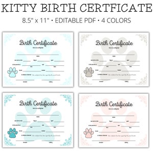 Geboorteakte Kitty, Geboorteakte huisdier voor kittens - bewerkbare pdf COO1