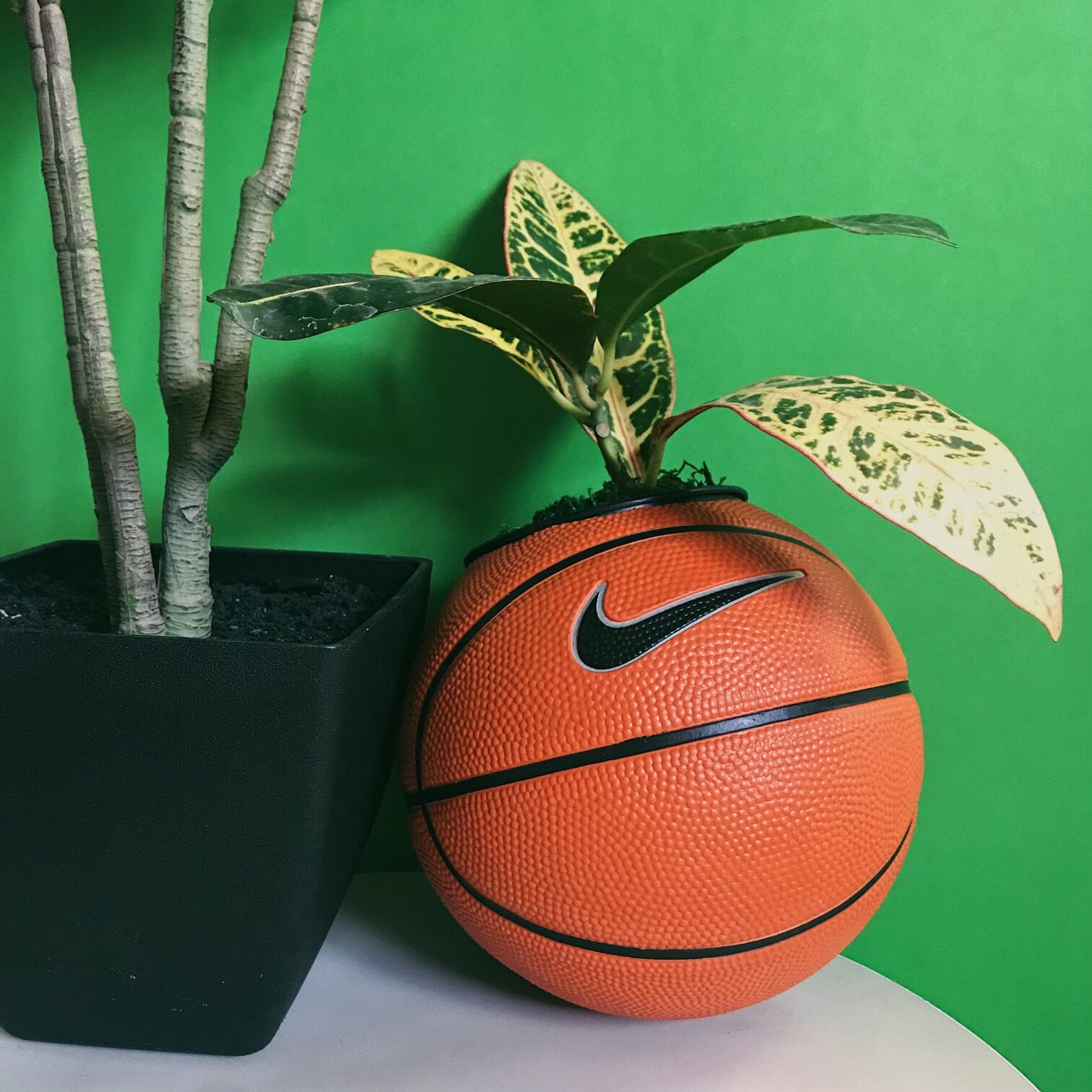 Basketball Planter The Original Etsy