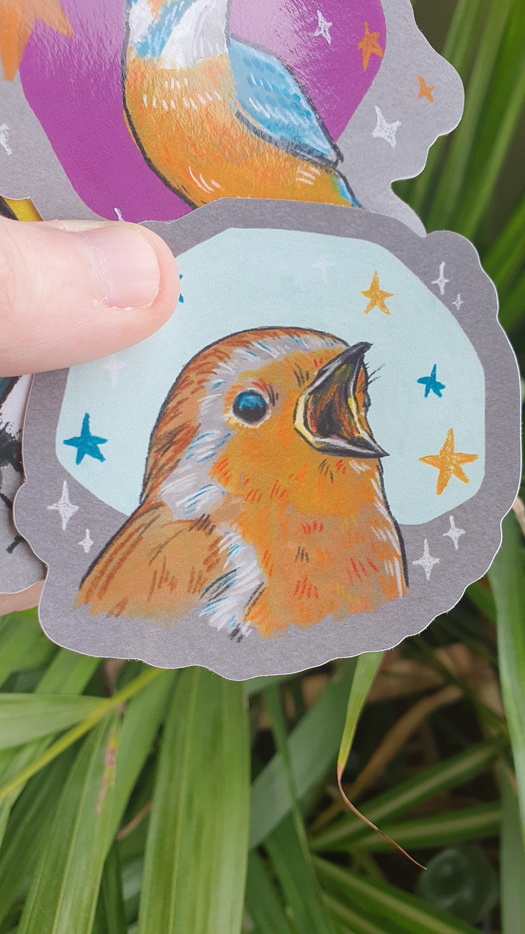 Robin Screm Sticker - Bird Art Vinyl Sticker in Mint Green-blue - Etsy